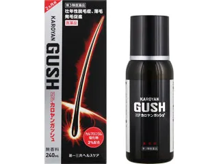 NFカロヤンガッシュ